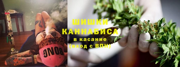 spice Аркадак