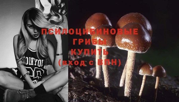 spice Аркадак