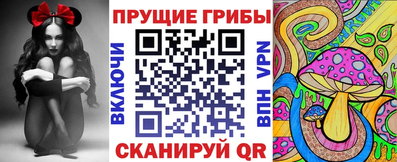 Галлюциногенные грибы прущие грибы  Купить где  Белорецк 
